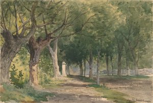 Avinguda dels Arbres finès