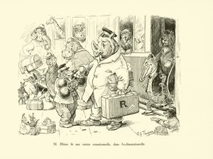 Herra Sarvikuono teki sensaatiomaisen sisääntulon Acclimatationvillessä (litografia). tekijältä George Henry Thompson
