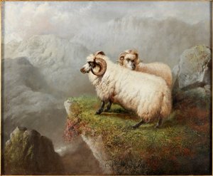 Lampaat kallion reunalla, n. 1865–1868
