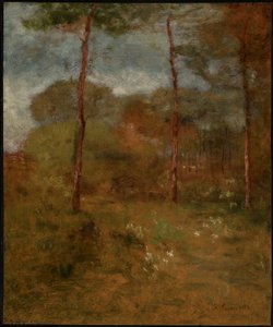 Orange Road, Tarpon Springs tekijältä George Inness
