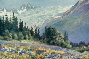 Campanula ja muut heinäkuun kukat Col Des Montetsissa (värilitho)