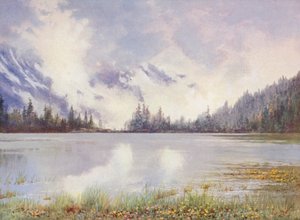 Champex-järvi pilvimaisemassa toukokuun lopussa; Caltha palustris ja Primula farinosa vesirajassa (värilitho).