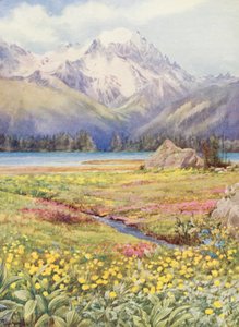 Champexin ylemmät pellot kesäkuun alussa, kaukana Grand Combin (värilitografia). tekijältä George Jackson Flemwell