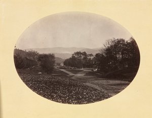 Tie Williamstownissa