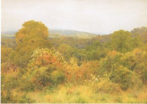 Luonnonpuutarha