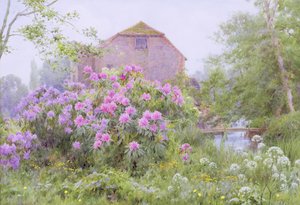 Rhododendronit vesimyllyn luona