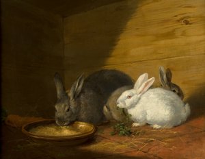 Kanit tekijältä George Morland