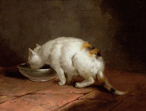 Taiteilijan kissan juominen tekijältä George Morland