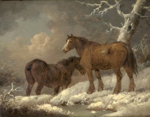 Kaksi hevosta lumessa tekijältä George Morland