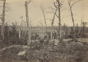 Resacan taistelukenttä, Georgia, N:o 3,1864 (kuva) (kuva) tekijältä George N. Barnard