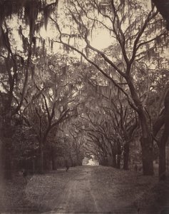 Bonaventuren hautausmaa, neljä mailia Savannahista, 1866. tekijältä George N. Barnard
