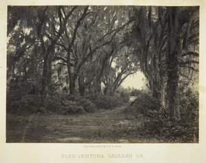Buen-Ventura Savannah, Ga. tekijältä George N. Barnard