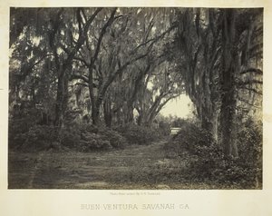 Buen-Ventura Savannah, Ga., 1866. tekijältä George N. Barnard
