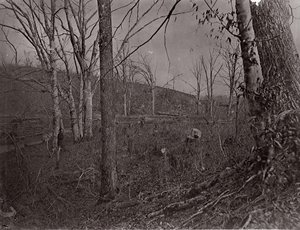 Bull Run, Virginia, 1861-62. tekijältä George N. Barnard