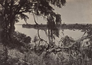 Savannah River, lähellä Savannahia, Georgia, 1860-luku. tekijältä George N. Barnard