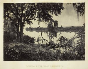 Savannah River, lähellä Savannahia, GA, 1866. tekijältä George N. Barnard