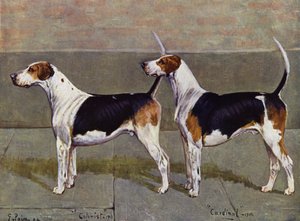 Puckeridge Foxhounds -kolonisti ja kardinaali tekijältä George Paice