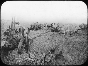 Sadonkorjuukohtaus Pohjois-Amerikan preerialla, 1800-luvun loppu tai 1900-luvun alku