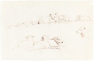 Lampaiden tutkimukset laitumella tekijältä George Richmond
