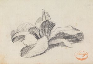 Lehtien tutkimus 2 tekijältä George Romney