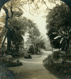 Pathway in the Queens Park, Brisbane, Australia, vuodelta 1909.