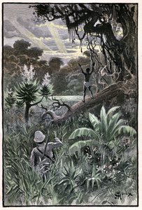George Rouxin kuvitus Jules Vernen kirjaan "The Aerien Village" (1901), Hetzelin painos/Extraordinary Voyages, Known and Unknown Worlds. Näkymä afrikkalaiseen metsään (Kongo). tekijältä George Roux