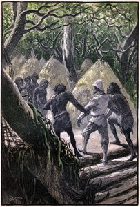 George Rouxin kuvitus Jules Vernen kirjaan "The Aerien Village" (1901), Hetzelin painos/Extraordinary Voyages, Known and Unknown Worlds. Löytöretkeilijöiden saapuminen Wagddis-puiden (Kongon metsän apinat) katveessa olevaan kylään. tekijältä George Roux