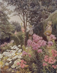 Phlox ja Daisy tekijältä George Samuel Elgood