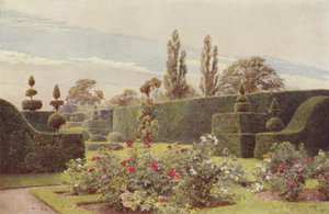 Ruusutarha, Arley tekijältä George Samuel Elgood