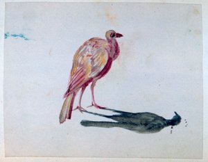 Lintu, 1820-1876 tekijältä George Sand