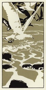 Rannalta tuli suuri valkoinen lokki (väri litho) tekijältä George Sheringham