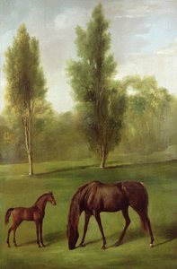 Kastanjatamma ja varsa metsämaisemassa, n. 1761-63 (öljy kankaalle) tekijältä George Stubbs
