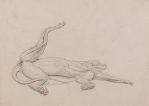 Vertaileva anatominen selvitys ihmiskehon rakenteesta tiikerin ja tavallisen linnun rakenteeseen verrattuna: Tiikeri, makuuasennossa, ventraalisesti katsottuna. tekijältä George Stubbs