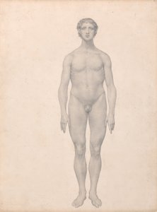 Vertaileva anatominen selvitys ihmiskehon rakenteesta tiikerin ja tavallisen linnun rakenteeseen verrattuna:  Ihmishahmo, etukuva, leikkaamaton (valmis tutkimus taulukkoa VI varten). tekijältä George Stubbs