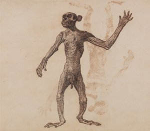Vertaileva anatominen selvitys ihmiskehon rakenteesta tiikerin ja tavallisen linnun rakenteeseen verrattuna:  Apina seisomassa, etukuva tekijältä George Stubbs