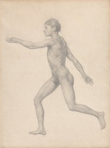 Vertaileva anatominen selvitys ihmiskehon rakenteesta tiikerin ja tavallisen linnun rakenteeseen verrattuna: Ihmishahmo, sivukuva, leikkaamaton (Valmis tutkimus taulukkoa VIII varten). tekijältä George Stubbs
