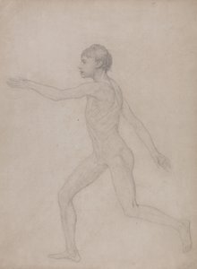 Vertaileva anatominen selvitys ihmiskehon rakenteesta tiikerin ja tavallisen linnun rakenteeseen verrattuna: (Alustava luonnos taulukon VIII lopullista tutkimusta varten). tekijältä George Stubbs