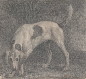 Kettukoira tuoksussa tekijältä George Stubbs