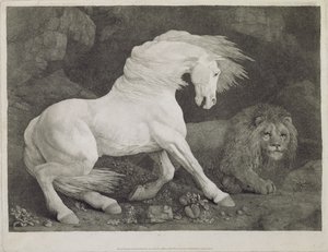 Leijonan pelästynyt hevonen, taiteilijan kaivertama, pubi. 1788 tekijältä George Stubbs