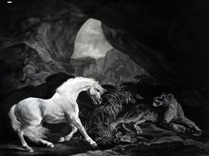 Lionessan säikähtämä hevonen, kaiverrus Benjamin Green, 1774