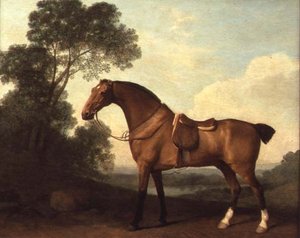 Saddled Bay Hunter maisemassa järven takana tekijältä George Stubbs