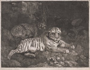 Tiikeri ja Nukkuva Leopardi tekijältä George Stubbs