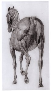 Huonekalut ja erilaiset esineet 1100- ja 1300-luvuilta tekijältä George Stubbs