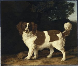 Fanny, rouva Mustersin suosikkispanieli, seisoo metsäisessä maisemassa, 1777 tekijältä George Stubbs