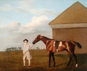 Tulipyrstö ja sen kouluttaja Newmarket Heathin Rubbing-Down Housen luona. tekijältä George Stubbs