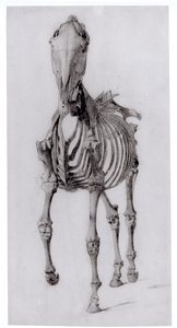 Huonekalut ja erilaiset esineet 1100- ja 1300-luvuilta tekijältä George Stubbs