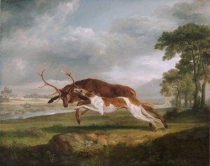 Koira kurssi polttarit tekijältä George Stubbs