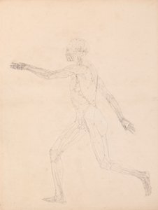 Ihmishahmo, sivunäkymä (Taulukon XIII avainhahmolle) tekijältä George Stubbs