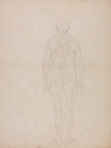 Ihmishahmo, takanäkymä tekijältä George Stubbs