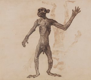 Apina seisoo, näkymä edestä tekijältä George Stubbs